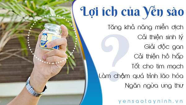 Những lợi ích của yến sào đối với sức khỏe Nam giới !