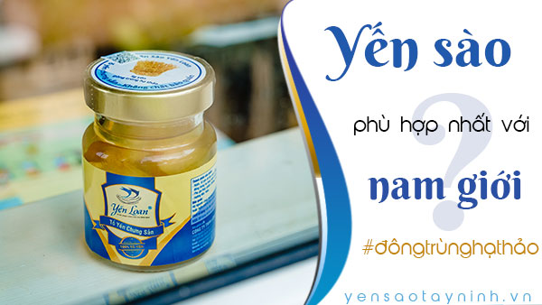 Tổ yến chưng đông trùng hạ thảo, sản phẩm phù hợp nhất với Nam giới