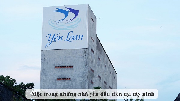 Yến sào Yến Loan một trong những nhà yến đầu tiên & hàng đầu tại Tây Ninh