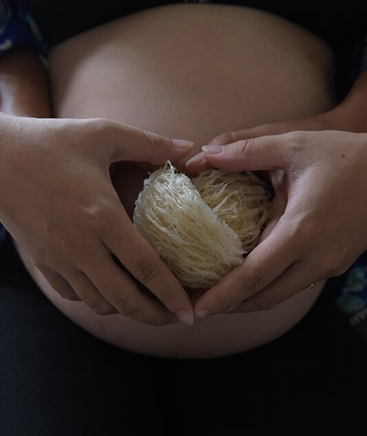 Yến sào cho bà bầu và sau sinh